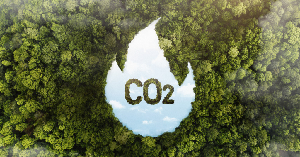 carbon footprint