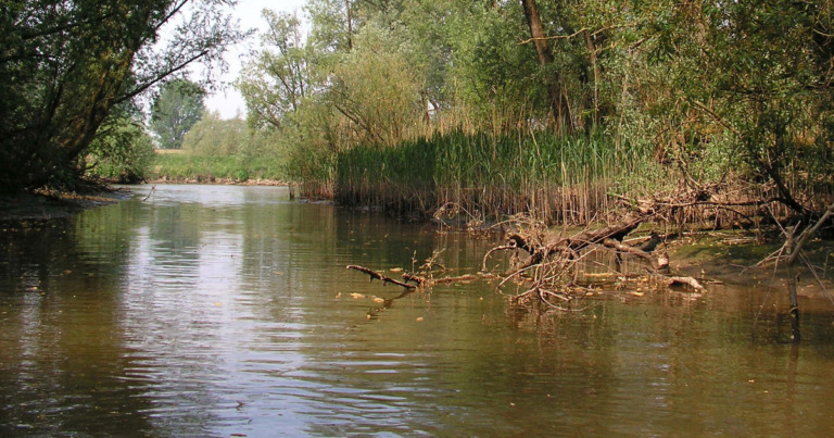 Biesbosch national park, Netherlands